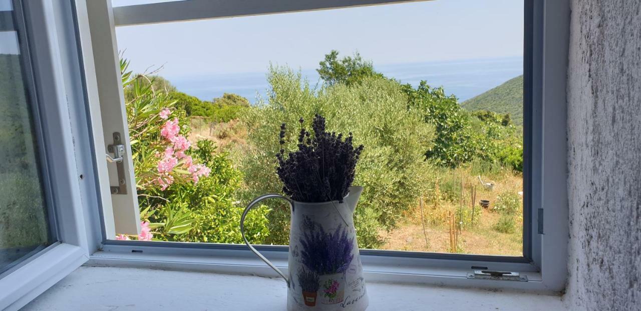 Apartment 4M Čunski Kültér fotó